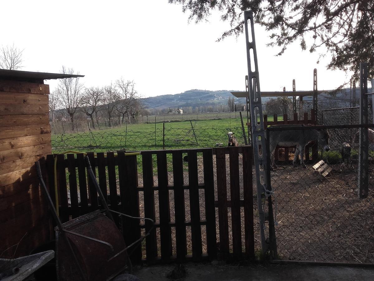 B&B La Quiete Foligno Buitenkant foto